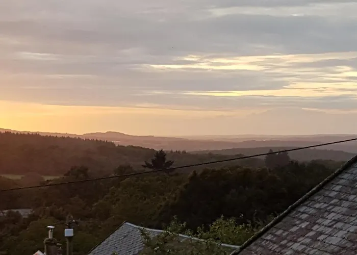 Bed and breakfast Sycamore House